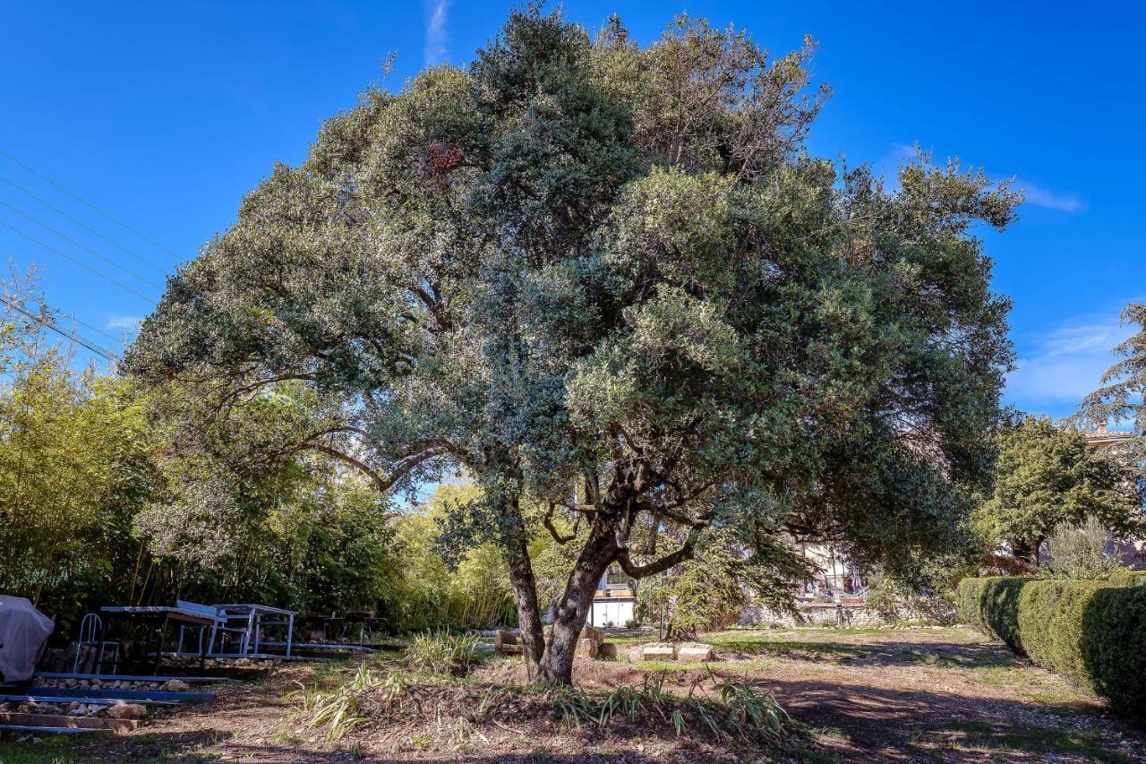 B&B En Provence- Villa Saint Marc فورْكيلكييه المظهر الخارجي الصورة