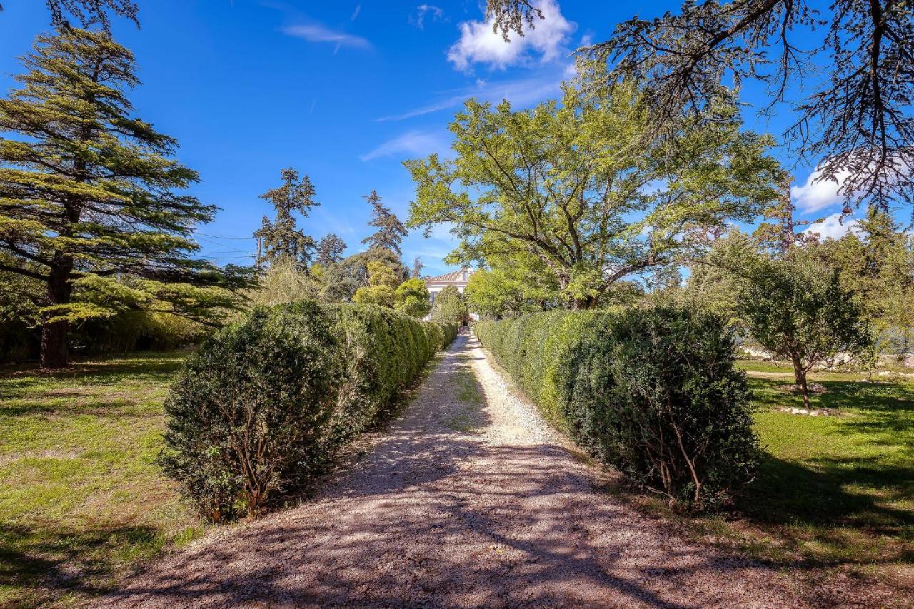 B&B En Provence- Villa Saint Marc فورْكيلكييه المظهر الخارجي الصورة