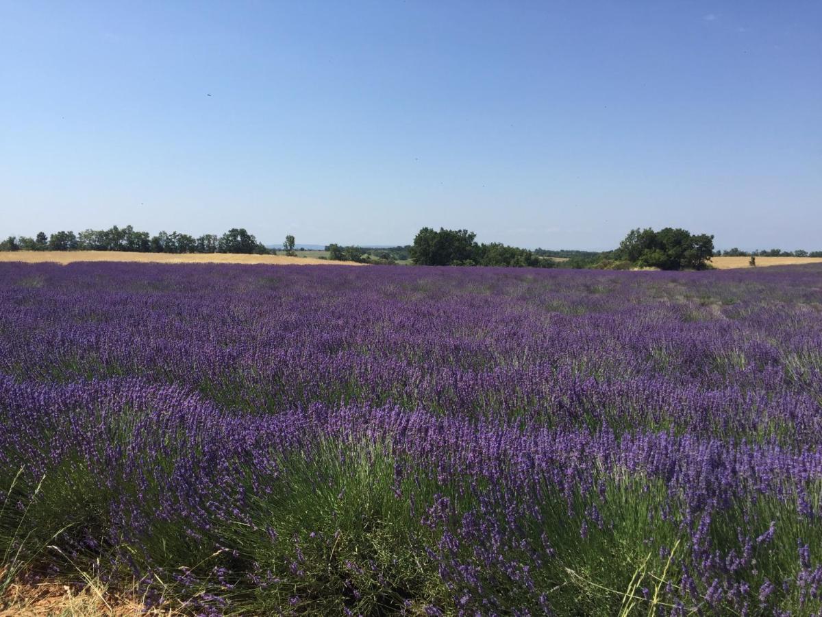 B&B En Provence- Villa Saint Marc فورْكيلكييه المظهر الخارجي الصورة