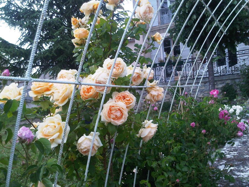 B&B En Provence- Villa Saint Marc فورْكيلكييه المظهر الخارجي الصورة